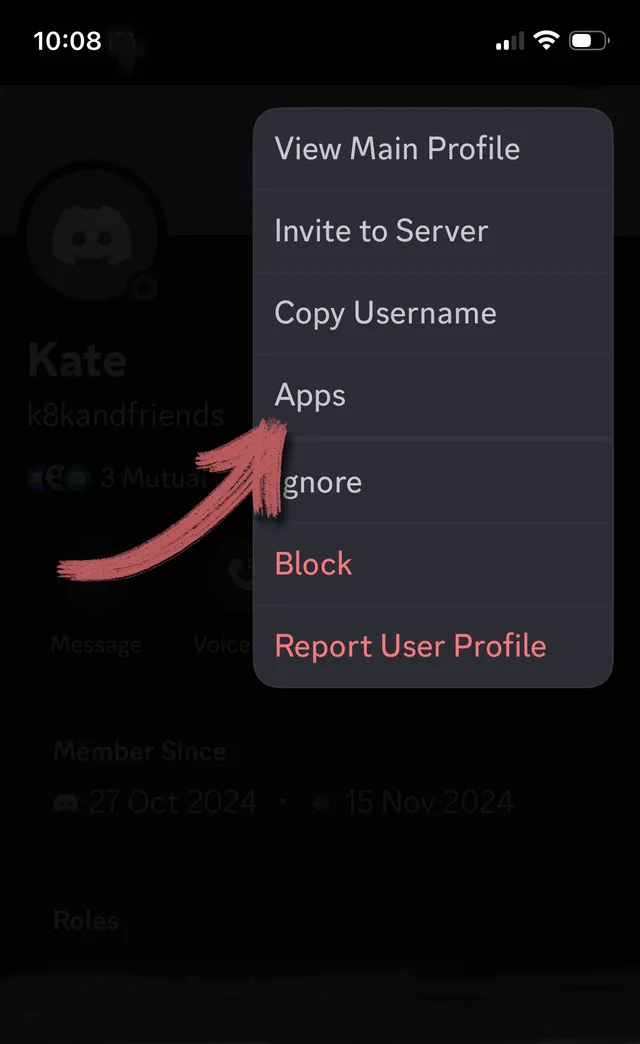 discord-lookup-6